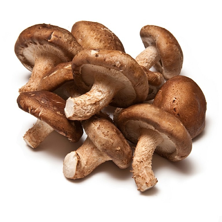 Setas Shiitake